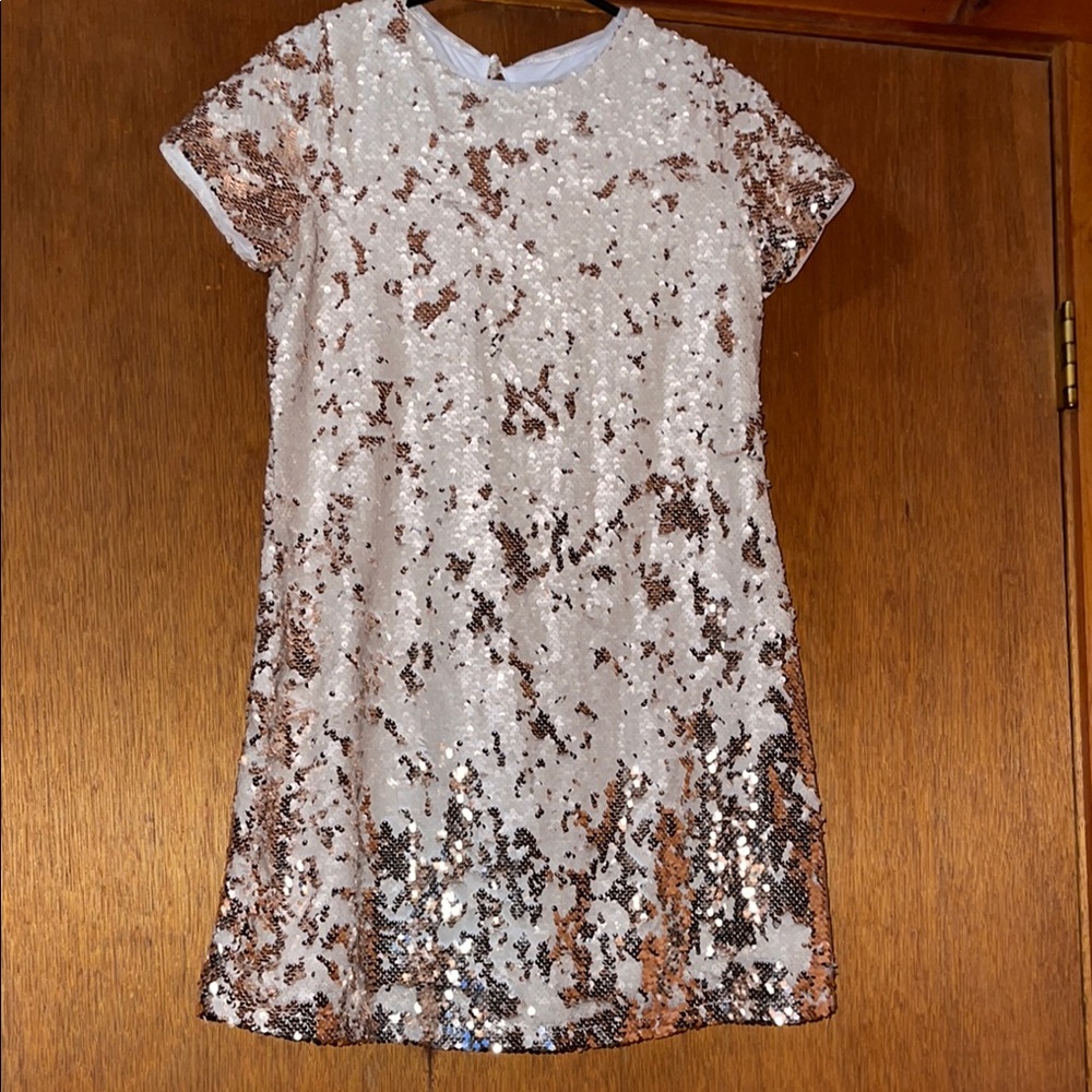 Sequin Short Sleeve Dress